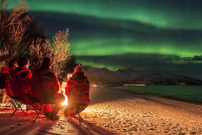 Northern Lights Tour from Tromsø - What You Eat: Sausages with Lompe, Veg Options, Cookies, Hot Drinks