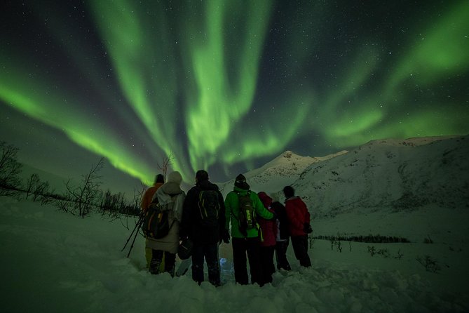 Northern Lights Tour from Tromsø - Who This Northern Lights Tour Is Best For