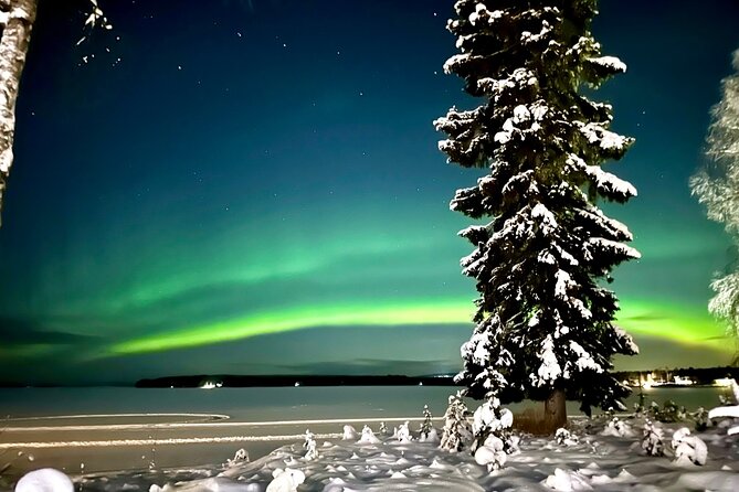 Northern Lights Tour Snowmobile Driving - Why this Rovaniemi snowmobile-and-aurora combo works