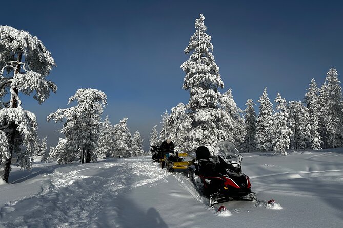 Northern Lights Tour Snowmobile Driving - Meet-up timing at Pekankatu 3 and how it shapes the night
