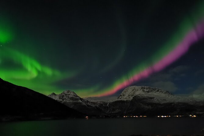 Northern Lights Tour, Tromso, Local Guide, Private Basecamp - Key highlights you’ll care about