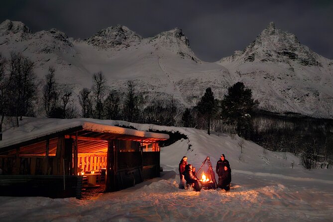 Northern Lights Tour, Tromso, Local Guide, Private Basecamp - The small-group difference: quiet viewing and guide-led energy