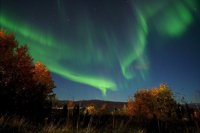 Northern Lights tour with Alta Adventure - Photos and tripods: getting the best shot without freezing your hands