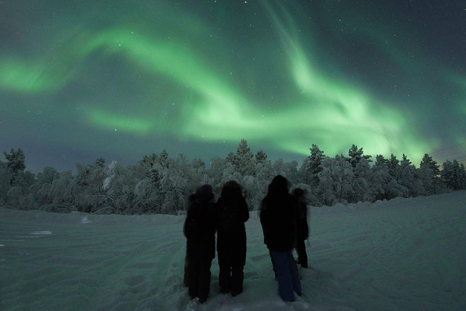 Northern Lights Tour with BBQ and drinks - The “secret location” phase: why professional guidance matters