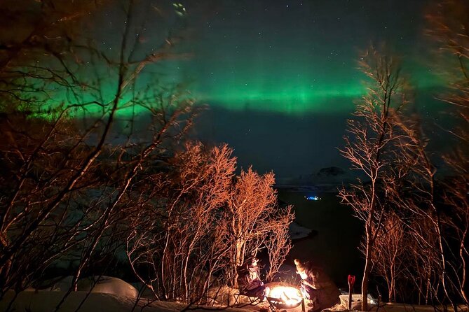 Northern Lights Tour with Hot Food and Drinks in Tromso - Thermal suits and cold-proof photo gear: comfort plus better pictures