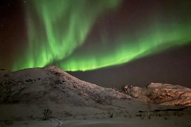 Northern Lights Tour with Hot Food and Drinks in Tromso - Weather-dependent reality: what you can control (and what you can’t)