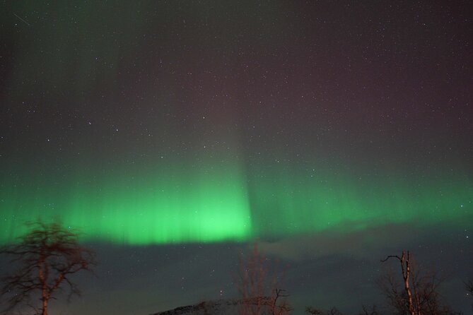 Northern Lights Tour with Local Guide and Photos - Price and Value: Is $198.50 Reasonable for Tromsø Aurora?