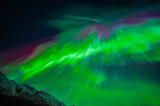 Northern Lights Tour with small group of 8 people - Who should book this Northern Lights chase