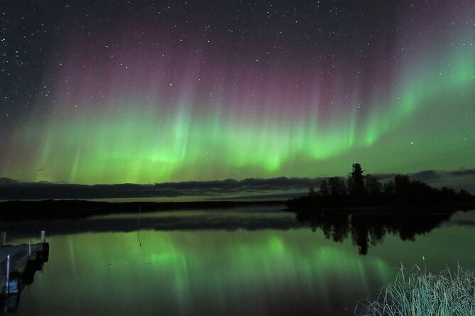 Northern Lights Tour Yellowknife - Who should book this northern lights bus tour