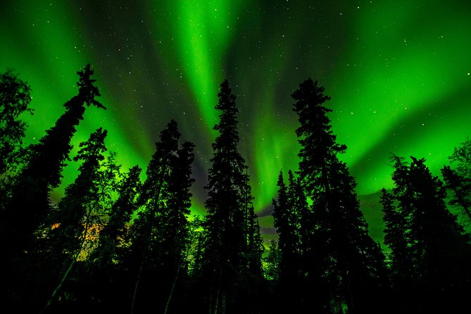 Northern Lights Tours - Pickup in Yellowknife, and the comfort of not driving yourself