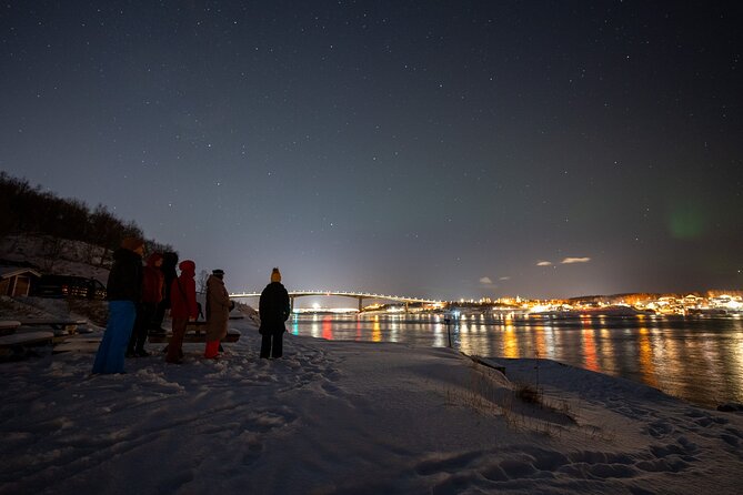 Northern Lights Tours Bodo Norway - Key points to know before you go