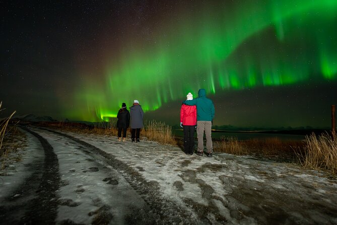 Northern Lights Tours Bodo Norway - Bodø After Dark: Why This Safari Starts in the Right Place