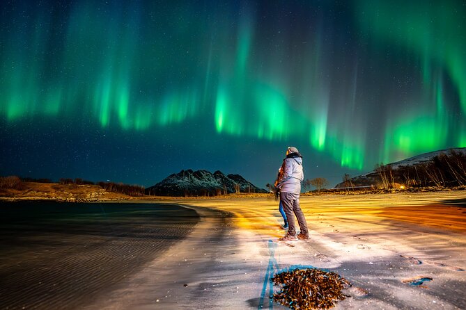 Northern Lights Tours Bodo Norway - Viewing From the Roof: What to Watch for When the Lights Appear