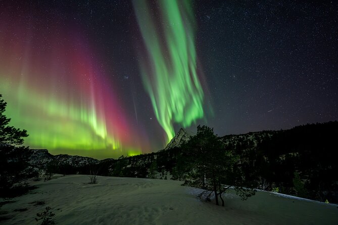 Northern Lights Tours Bodo Norway - Price and Value: What $223.73 Really Buys You