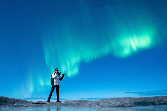Northern Lights Tours Bodo Norway - Who This Tour Fits Best (and Who Might Want Something Else)