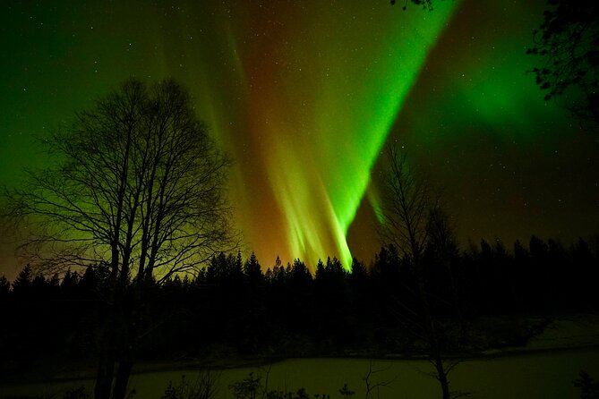 Northern Lights Trip to a Magical Place in Lapland - Price and Value: What $119.09 Buys You in Lapland