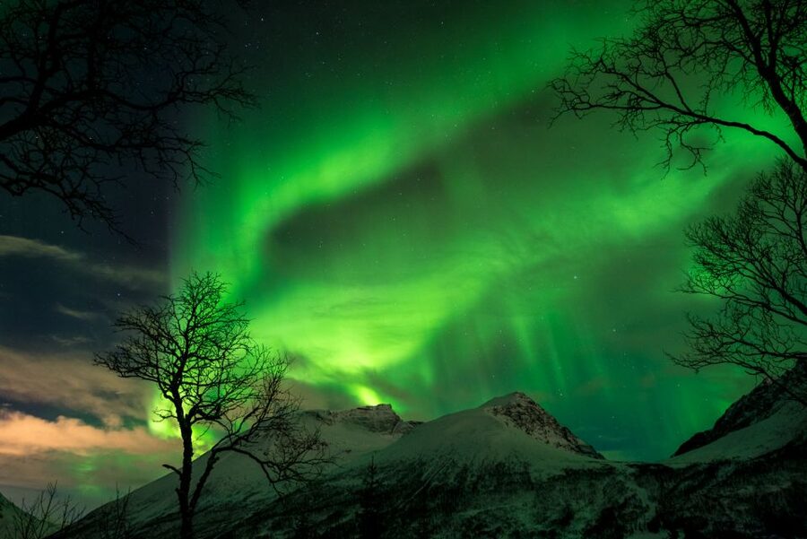 Northern lights Tromsø - small group tour with local guide - Bonfire Break and Warm Food: Staying Human in the Cold