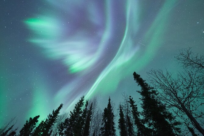 Northern Lights Viewing at Murphy Dome - Key Things I’d Plan Around