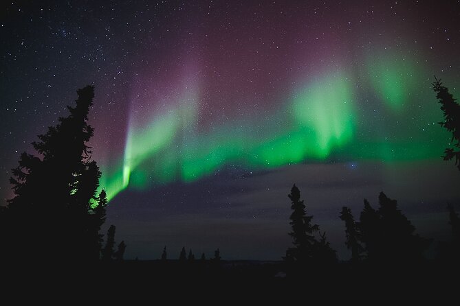 Northern Lights Viewing at Murphy Dome - Price and Value: Is $120 a Good Deal?
