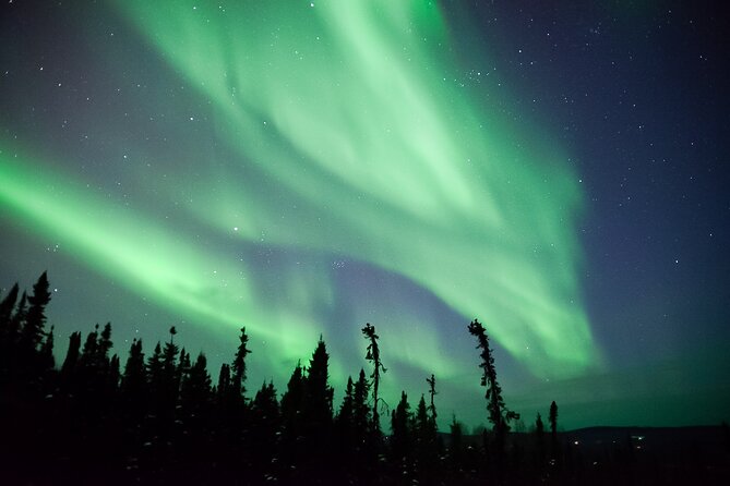 Northern Lights Viewing at Murphy Dome - Who Should Book This Tour (and Who Might Want Another Plan)