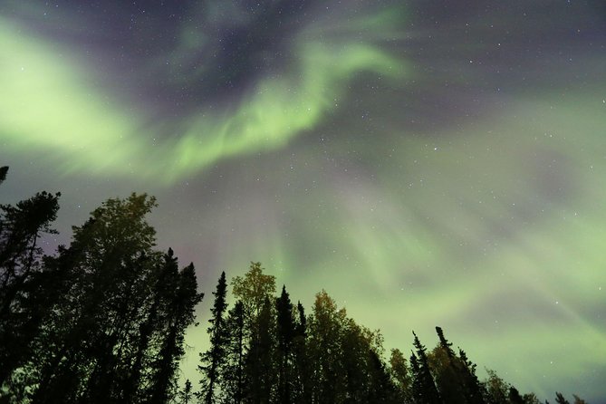Northern Lights Viewing including Dinner and Dog Sledding - Murphy Dome northern lights viewing with dinner: why the waiting part matters