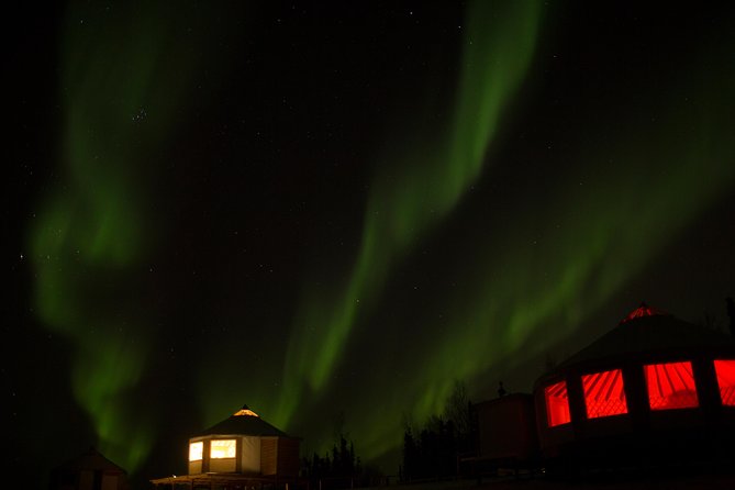 Northern Lights Viewing including Dinner and Dog Sledding - Who this tour fits best (and who might want a different plan)