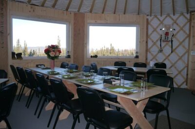 Northern Lights Viewing including Dinner and Dog Sledding - One-hour dog sledding with huskies: what you’re signing up for