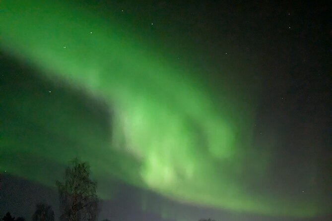 Northern Lights Walk to Old Kemi with BBQ and Arctic Views - Key moments that make this tour work