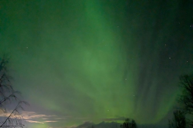 Northern Lights Walk to Old Kemi with BBQ and Arctic Views - Campfire BBQ and Hot Berry Juice: Why You Stay Longer