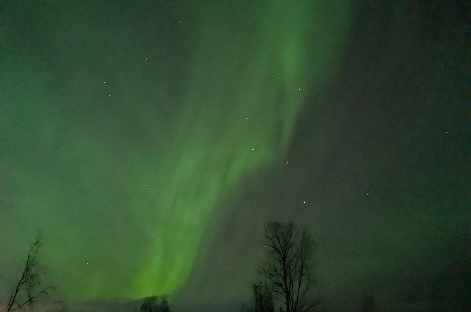Northern Lights Walk to Old Kemi with BBQ and Arctic Views - Weather Reality in Lapland: When the Sky Plays Nice