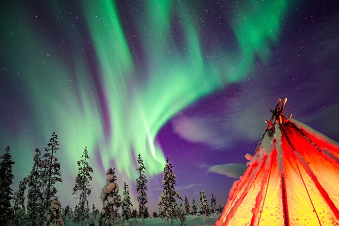 Northern Lights Wilderness Small-Group Tour from Rovaniemi - Key things to know before you go