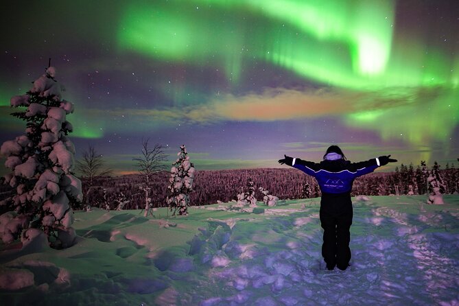 Northern Lights Wilderness Small-Group Tour from Rovaniemi - Rovaniemi Aurora Hunt: a small-group night that feels practical