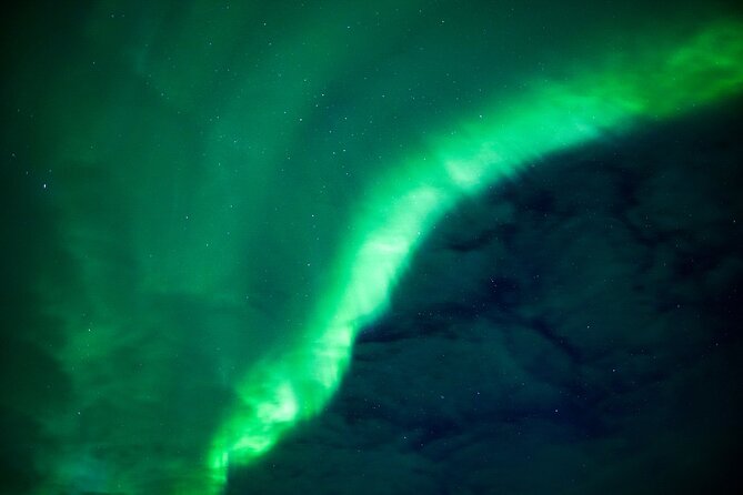 Northern Lights Wilderness Small-Group Tour from Rovaniemi - Price and value: $155.68 for a guided aurora hunt with extras