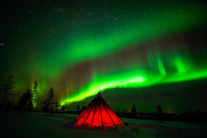 Northern Lights Wilderness Small-Group Tour from Rovaniemi - What to bring (even if you get winter clothing)