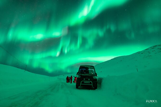 Northern Lights x Mini Bus Chase - Your 6 to 8 hour flow: from Tromsø pickup to campfire warmth