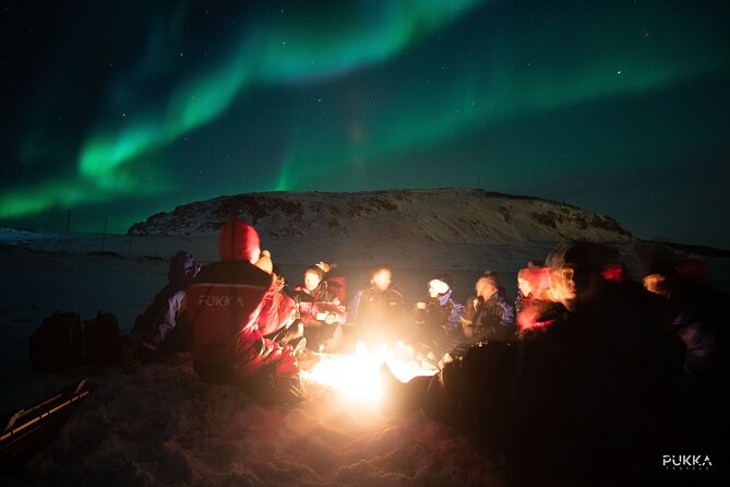 Northern Lights x Mini Bus Chase - The small-group setup: what max 15 really changes