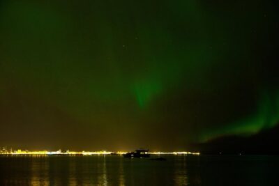 Northern Lights Yacht Cruise - Faxaflói Bay: shelter for calm viewing and a chance at wildlife