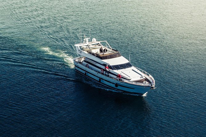 Northern Lights Yacht Cruise - Price and logistics: is $100.82 worth it for a 2 to 3 hour aurora hunt?