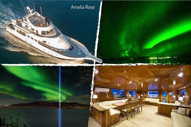 Northern Lights Yacht Cruise in Reykjavik - Wildlife Bonus in Faxaflói Bay: Whales, Dolphins, and the Orca Chance