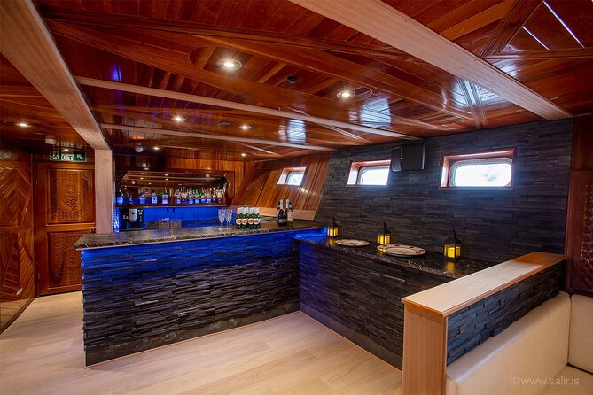 Northern Lights Yacht Cruise in Reykjavik - Price and Value: Is $94 Worth a Night in the Cold?