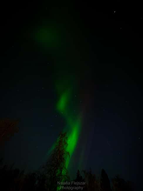 Oulu: Guided Night Walking Tour with Northern Lights Hunting - Northern Lights hunting with a smart backup plan