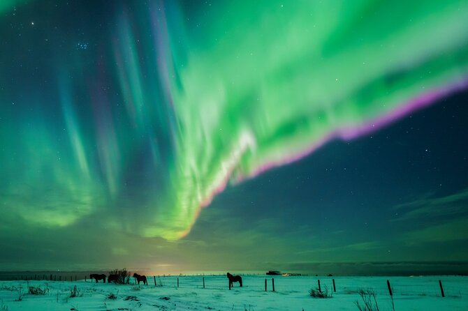 Private Aurora Hunt with Photos in Super Defender - The Proposal Factor: Why This Tour Works for Big Moments