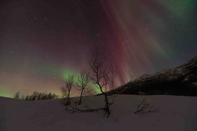 Private Aurora Hunting with Professional Photographer from Alta - Key things that matter before you go