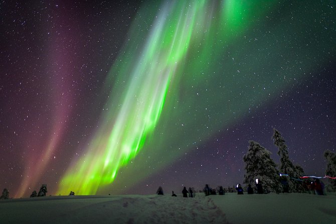 Private Aurora Tour (5 or more) by Aurora Experts - Rovaniemi - Key highlights you’ll actually care about