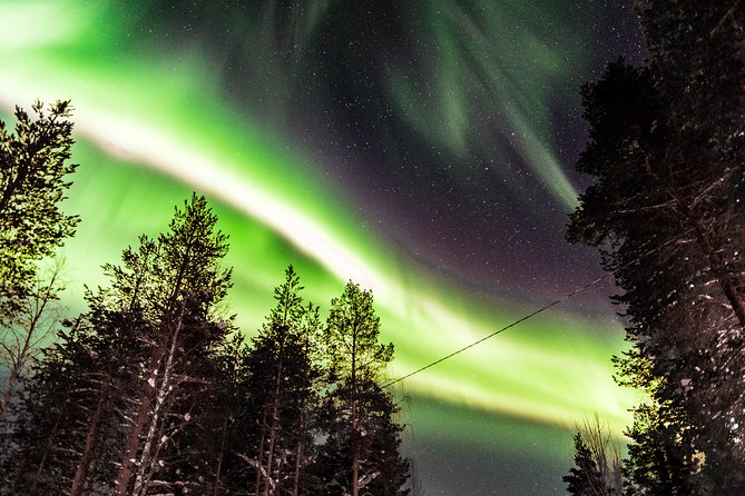 Private Aurora Tour (5 or more) by Aurora Experts - Rovaniemi - Guides in action: Maris and Kim, and why their style shows