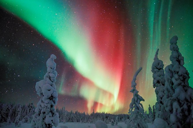 Private Aurora Tour by Lapland Welcome Aurora Experts for 1-4 persons - The private setup: flexible timing for small groups