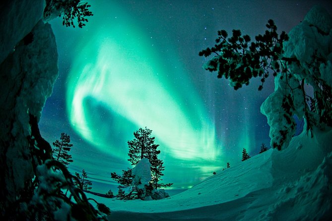 Private Aurora Tour by Lapland Welcome Aurora Experts for 1-4 persons - Logistics that can make or break your night