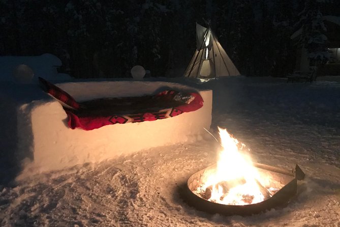 Private Aurora Viewing Experience - Cabin on a Private Island: What This Experience Feels Like