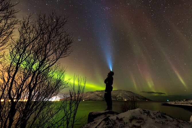 Private & Exclusive Northern Lights Tour with Professional guide - Why Tromsø is a smart base for Northern Lights nights
