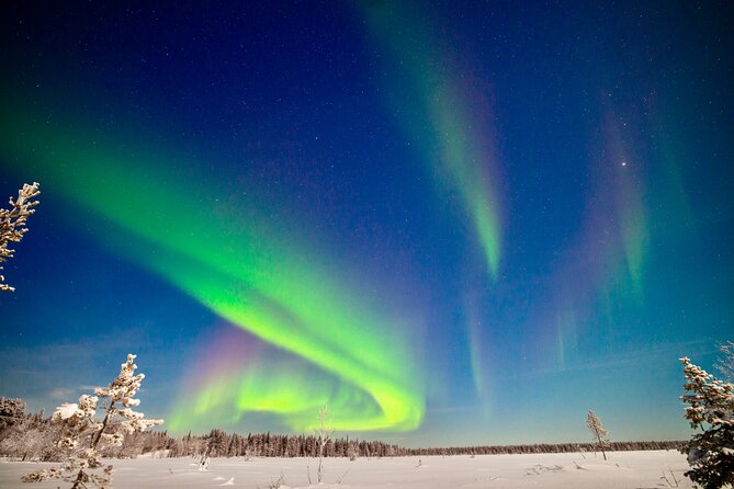 Private Group: Northern Lights Hunt 4x4 SUV with Aurora guarantee - Key things that make this aurora hunt work